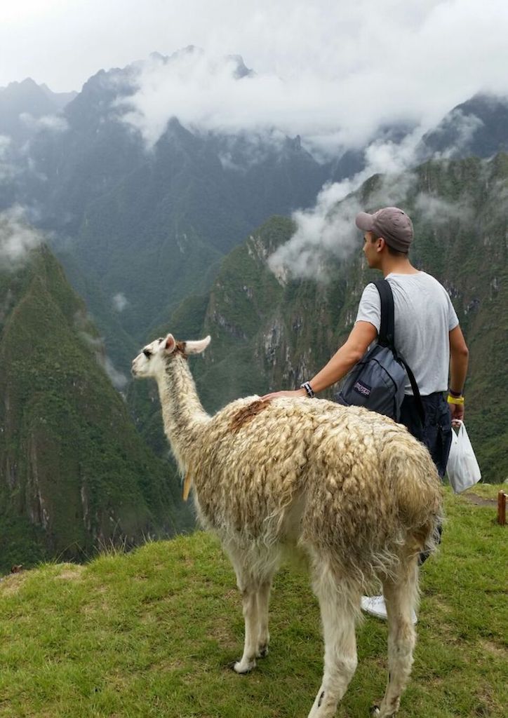 Alex enjoying the ancient views of Machu Picchu