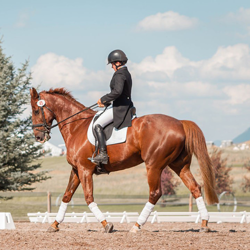 Competitive rider in equestrian wear with horse