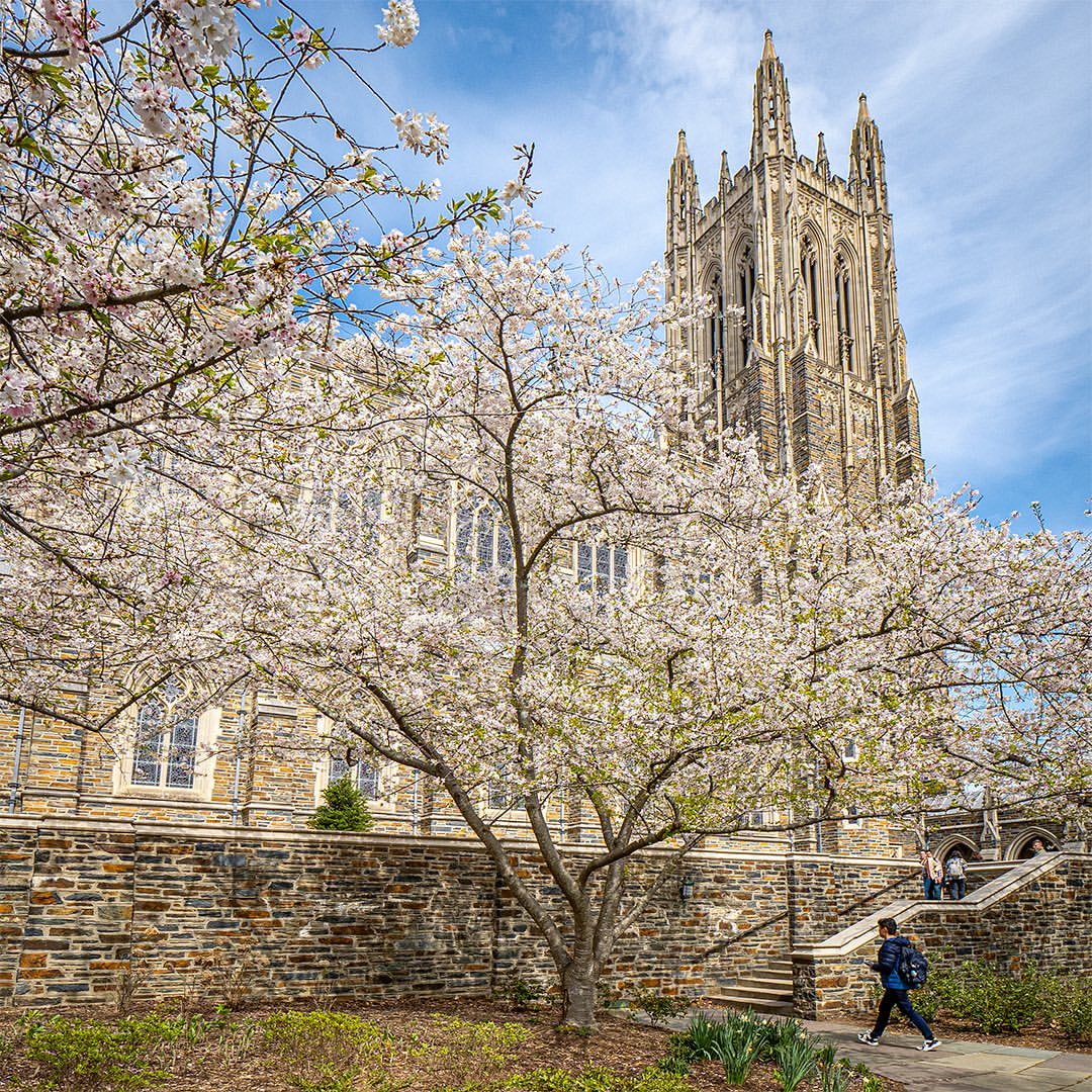 Spring at Duke University