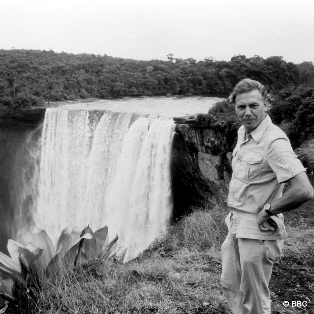 A younger David Attenborough during the late 1970s, filming BBC's "Life On Earth"