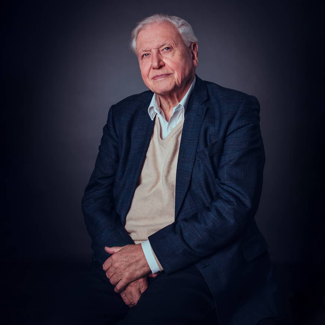 The beloved Sir David Attenborough
