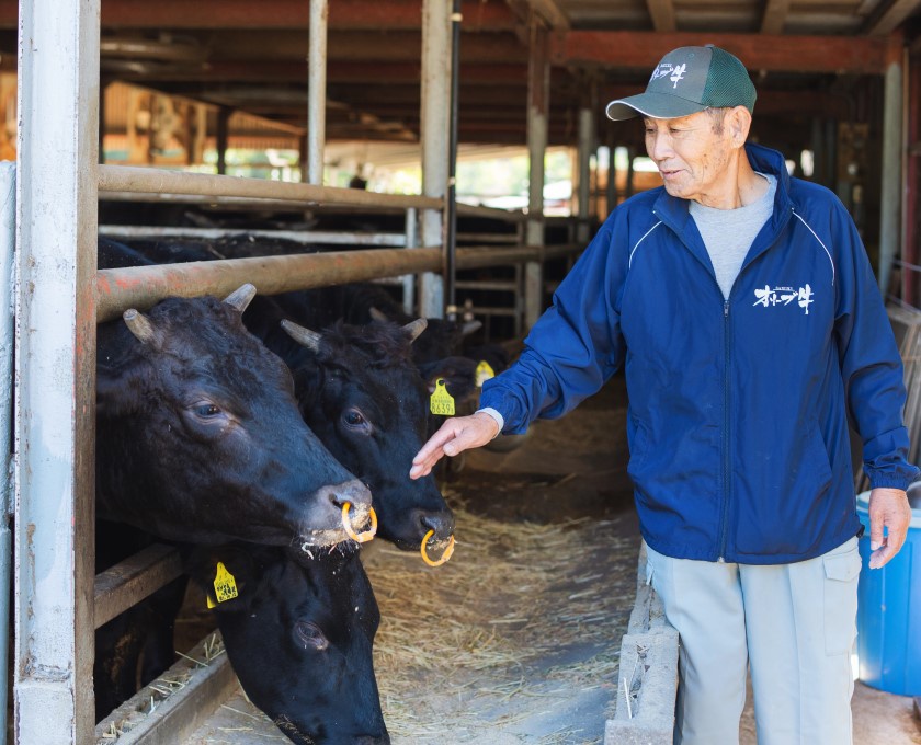 Mr.Masaki Ishii started feeding his cows a special feed comprised of Kagawa-grown olives for a uniquely flavored wagyu
