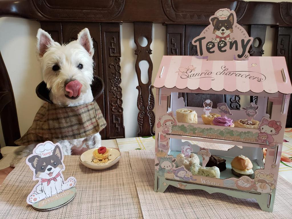 Grant Dogaroo's Teeny Pet bakery