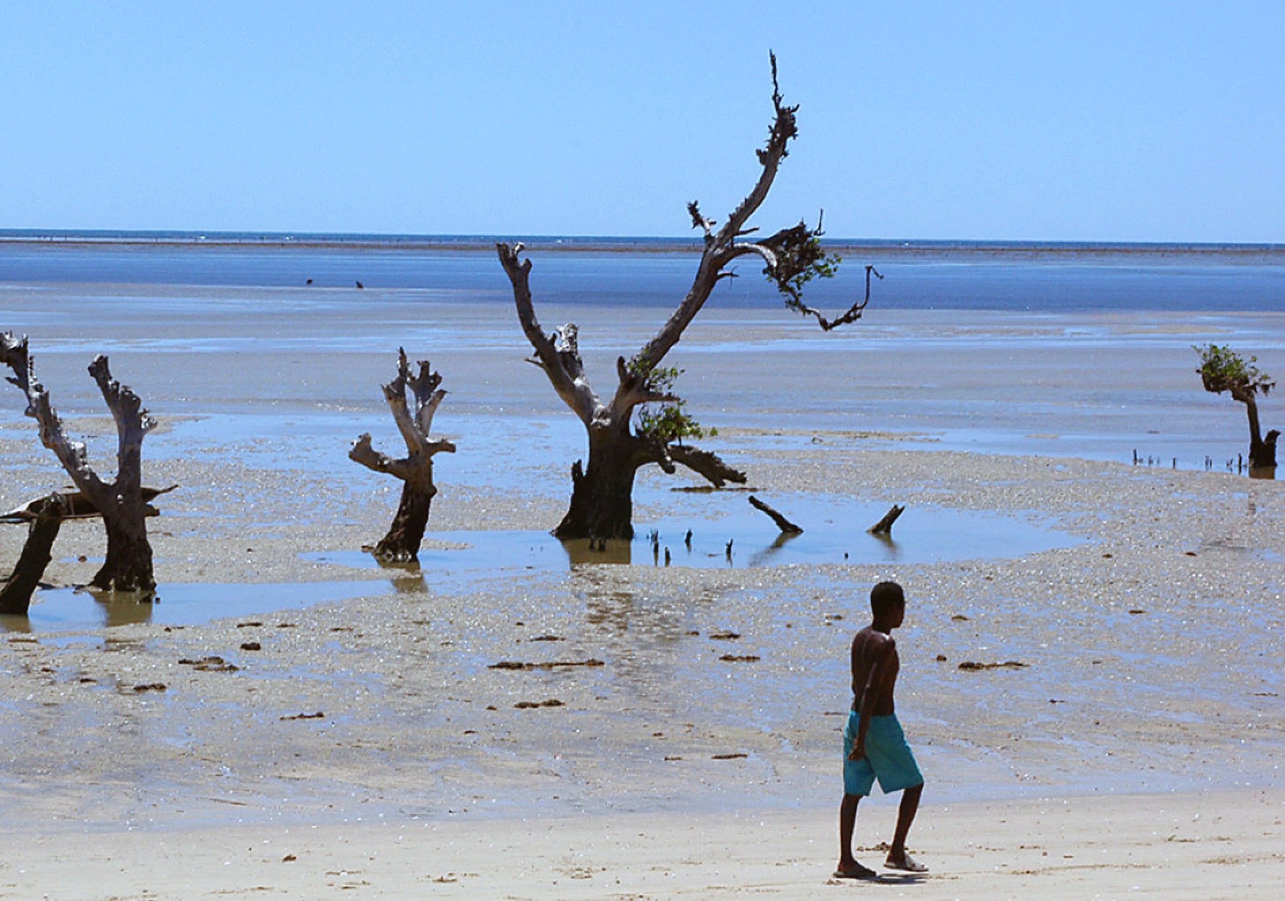 Audemars Piguet worked with ProAct Network to help rehabilitate a section of Madagascar