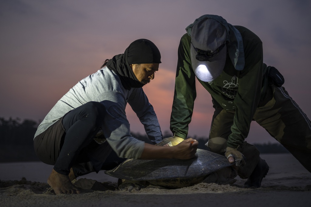 Conservationists Elerson Barbosa and João Alfredo da Mata GPS tag an Amazon river turtle