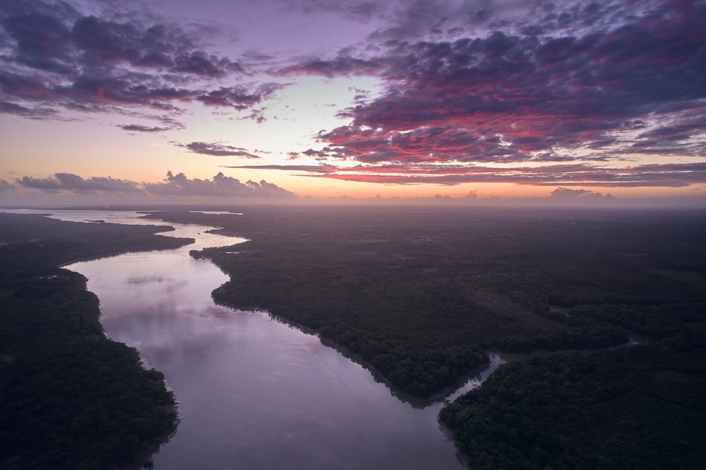 Sunrise over the mouth of the Amazon where Angelo Bernardino and his team produced the first-ever documentation of freshwater mangrove trees