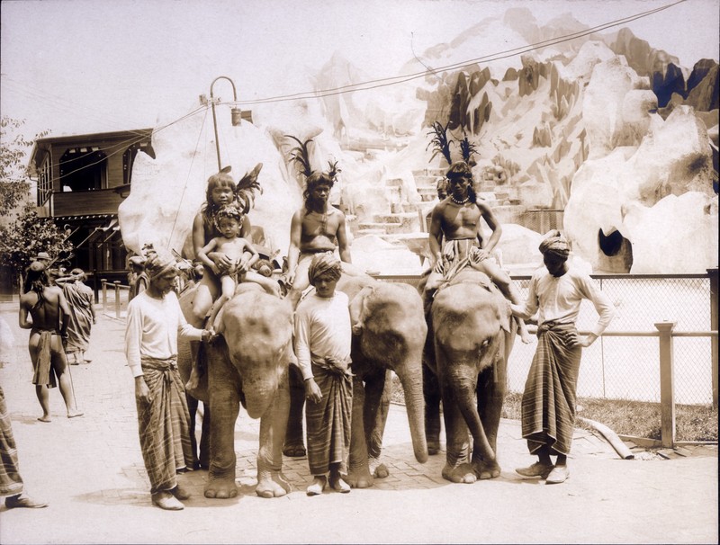 A photo of the Igorot attraction at the 1904 fair