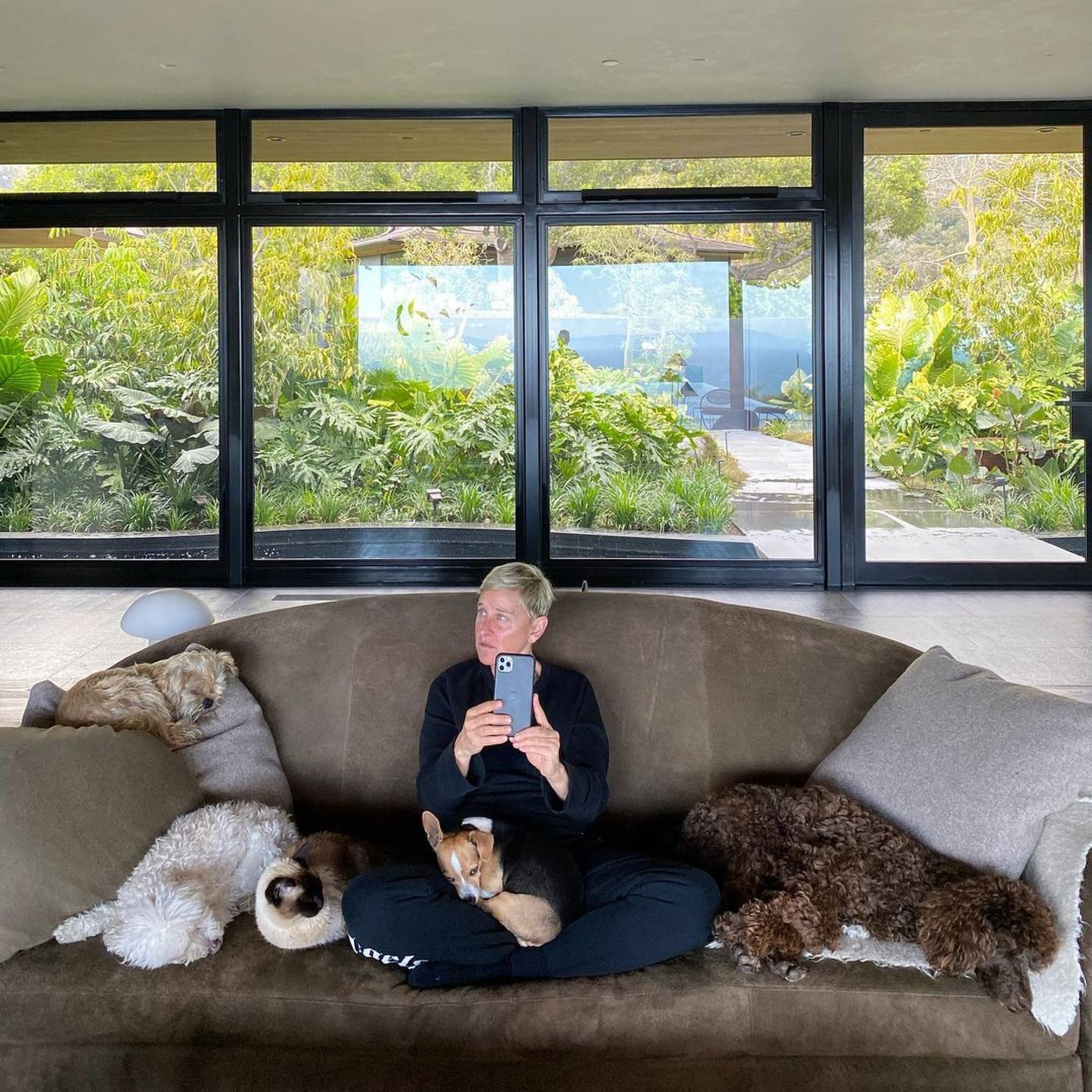 Ellen DeGeneres at home with dogs
