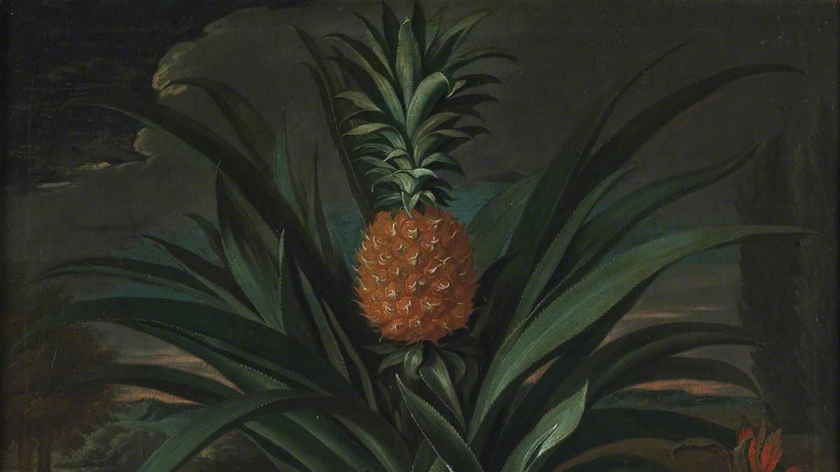 How The Pineapple Was Once A Symbol Of Wealth And Luxury