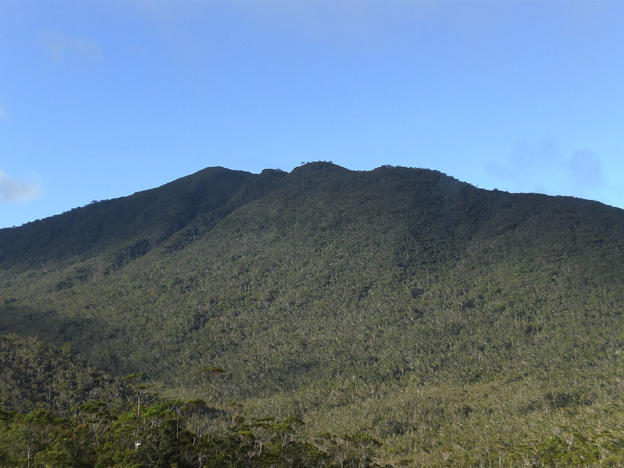 The peak of Mount Hamiguitan