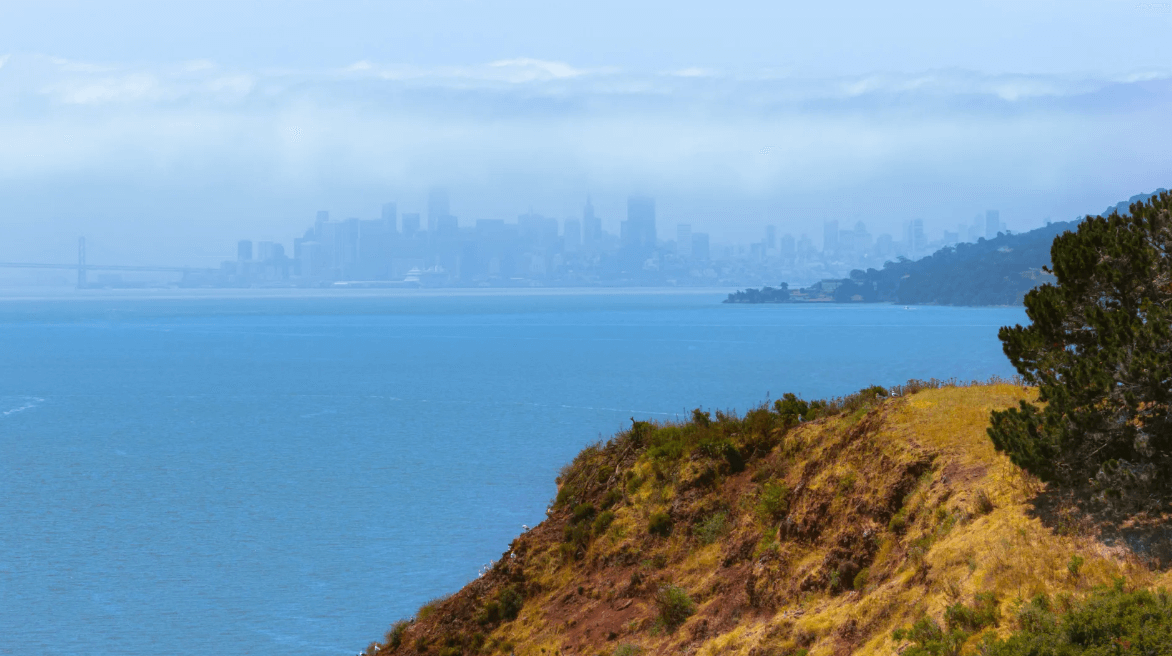 The city can be seen from the island