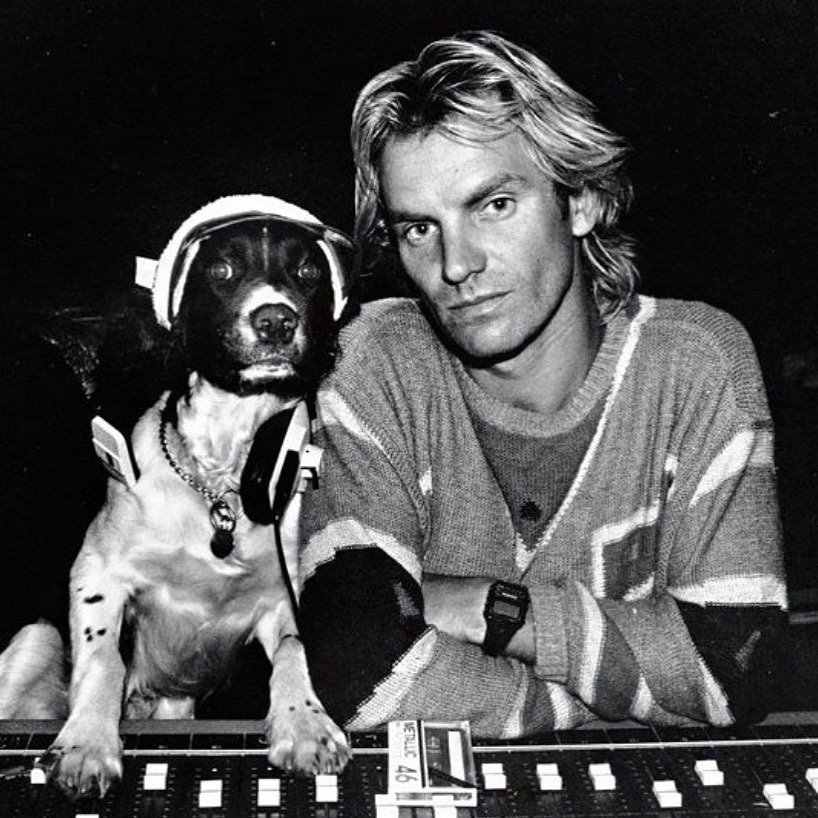 A young Sting and his dog, William, in 1986