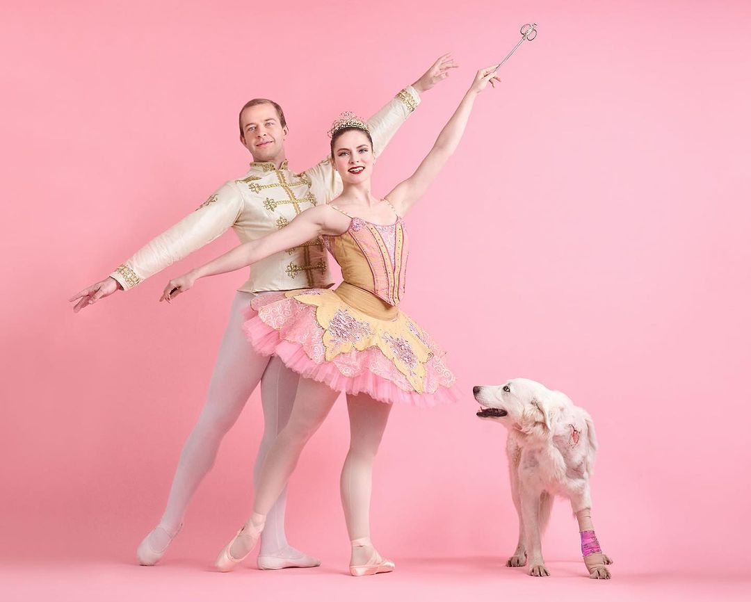 Michael Burke and Rebecca Cornett as the Cavalier and Sugar Plum Fairy, respectively, with shelter dog Mimzy