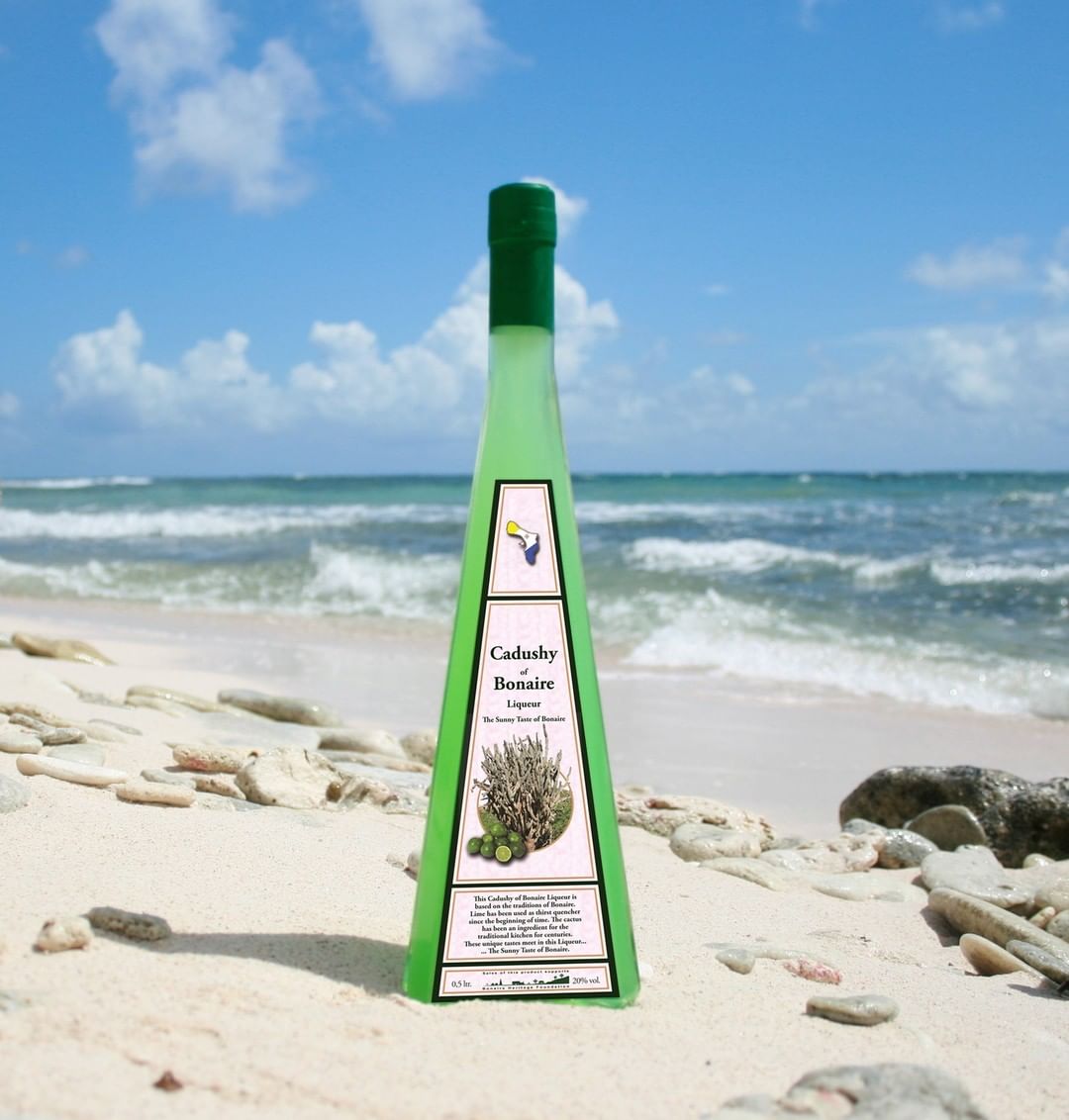 One of Bonaire Island’s most interesting offering is their cactus-based liqueur, like this island drink: Cadushy of Bonaire