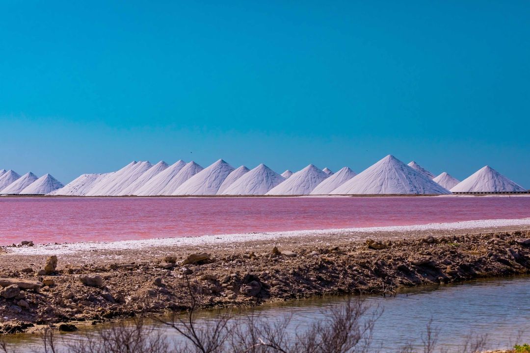 The pink sands are made up of crushed pink shells from “foraminiferas”