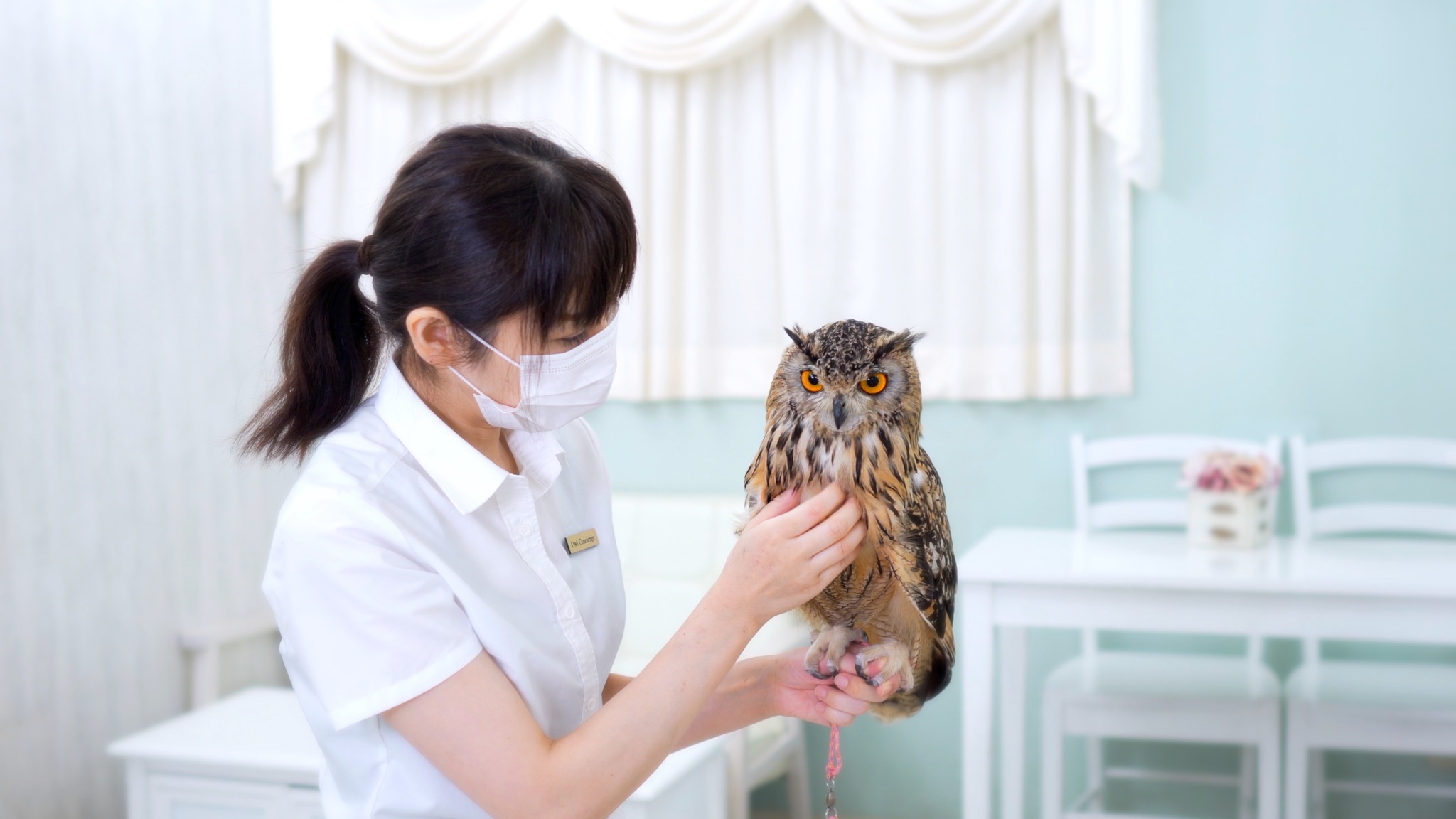 An “owl concierge” with one of the café’s feathery friends, and more happy owls