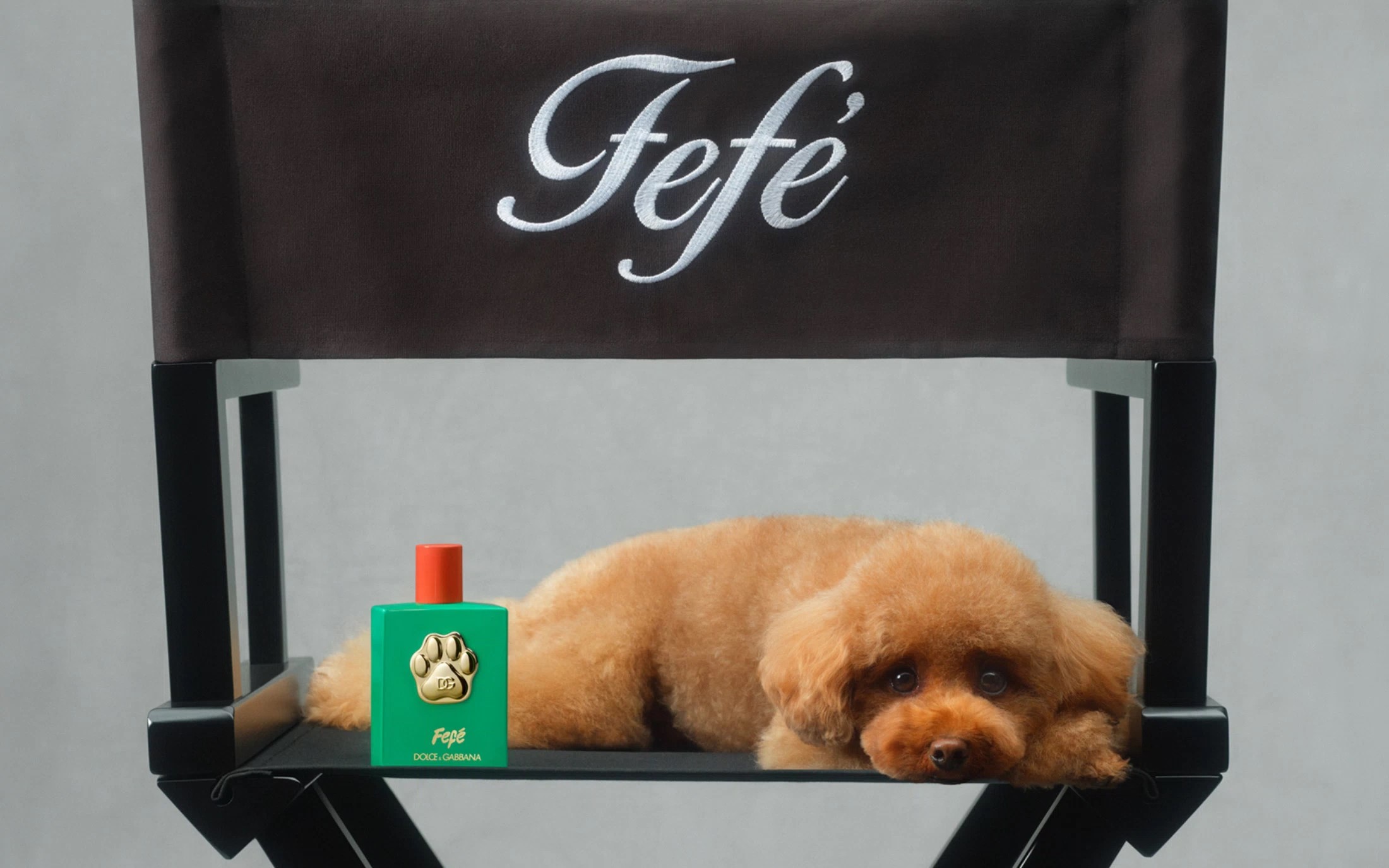 Fefé the poodle next to the cute pooch's eponymous perfume