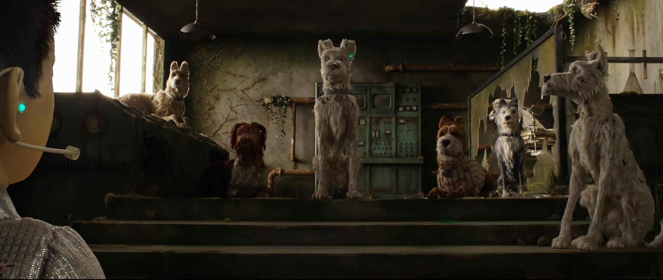 A shot from “The Isle of Dogs”