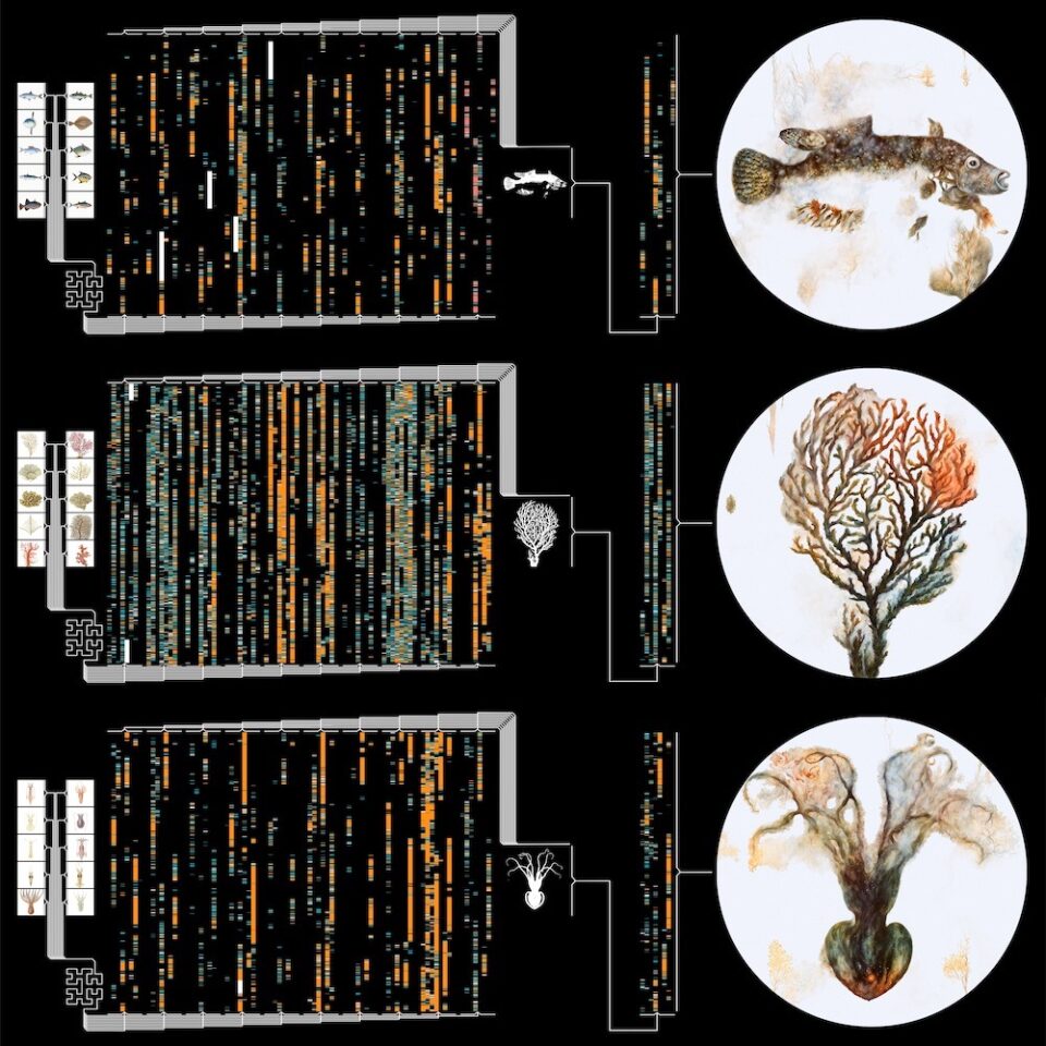 ART SG 2025: Singapore's International Art Fair Returns