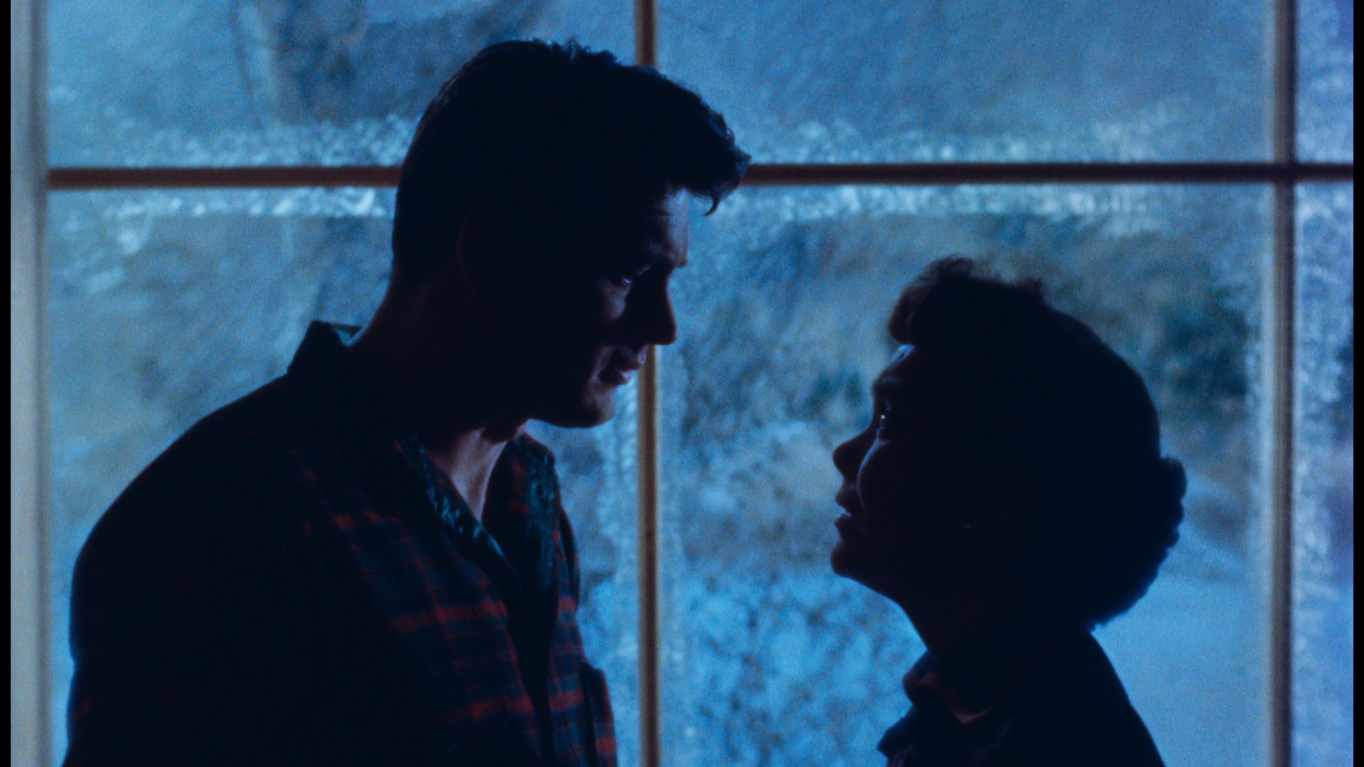 Rock Hudson and Jane Wyman in Douglas Sirk's Technicolor melodrama masterpiece All That Heaven Allows (1955)