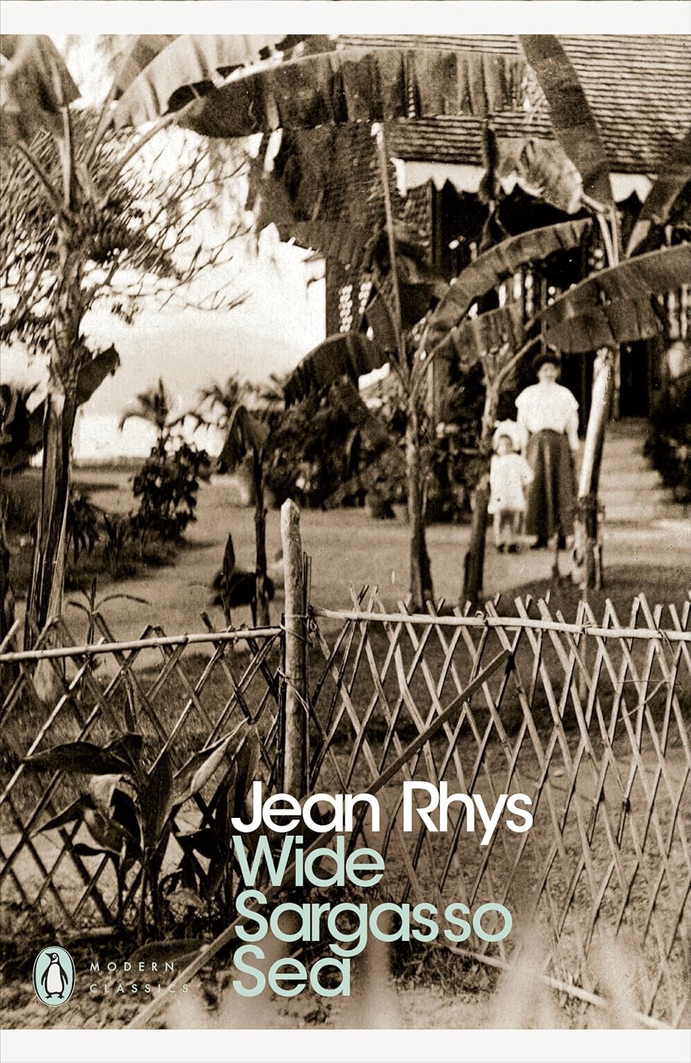 Wide Sargasso Sea book